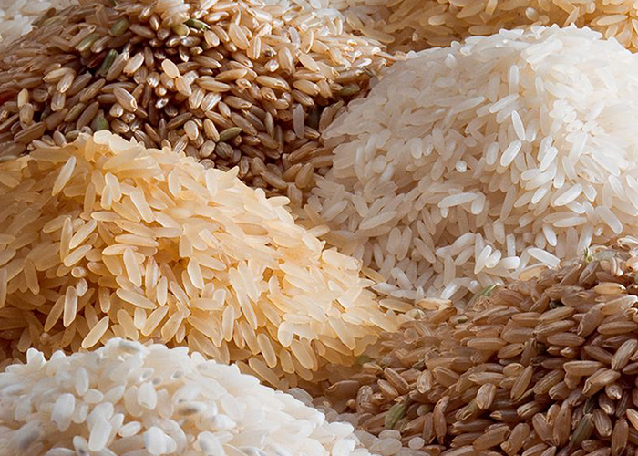 GRAINS AND LEGUMES