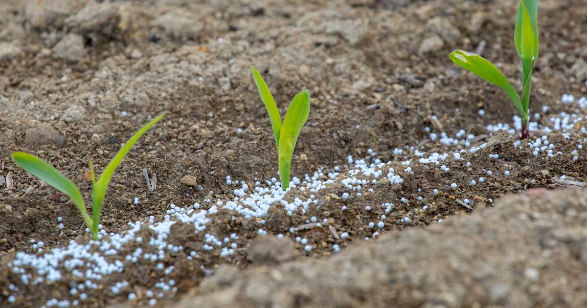 FERTILIZERS